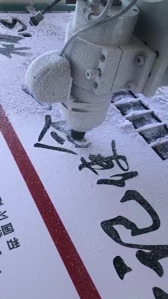 自動巡邊客戶案例1